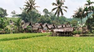 Kampung Naga, Salawu District, Western Java (Demming 2002)