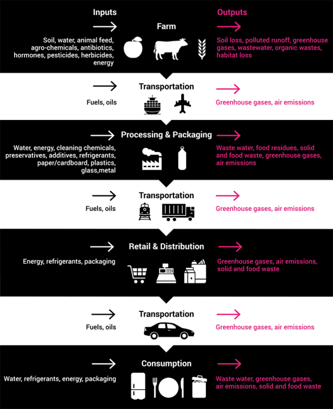 Inputs and Outputs.png